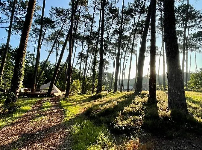 Luxury tent Tente Indiana Chenes - La Teouleyre Saint-Julien-en-Born